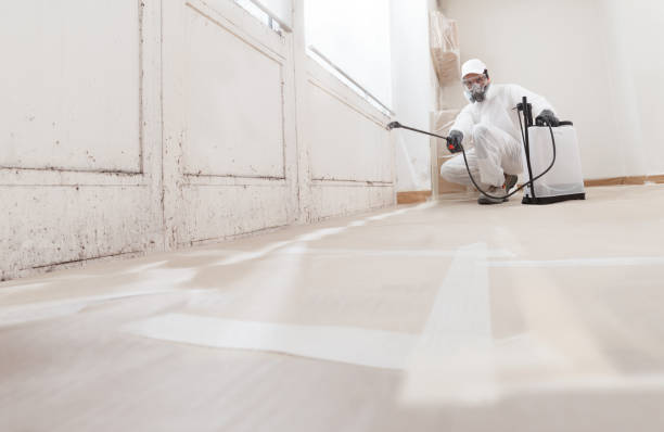 Forensic Mold Investigation in Jefferson, OR