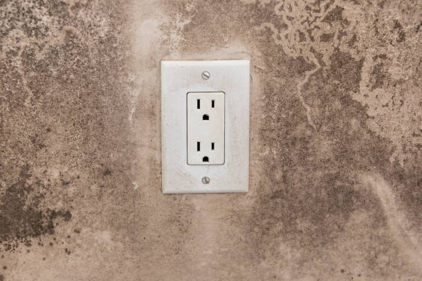 Best Mold Odor Removal Services  in Jefferson, OR